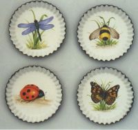 Insect Coasters