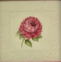 Pink Peony