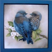 Baby Bluebirds
