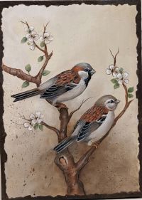 House Sparrows/Sparrow Series