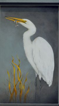 The Great Egret